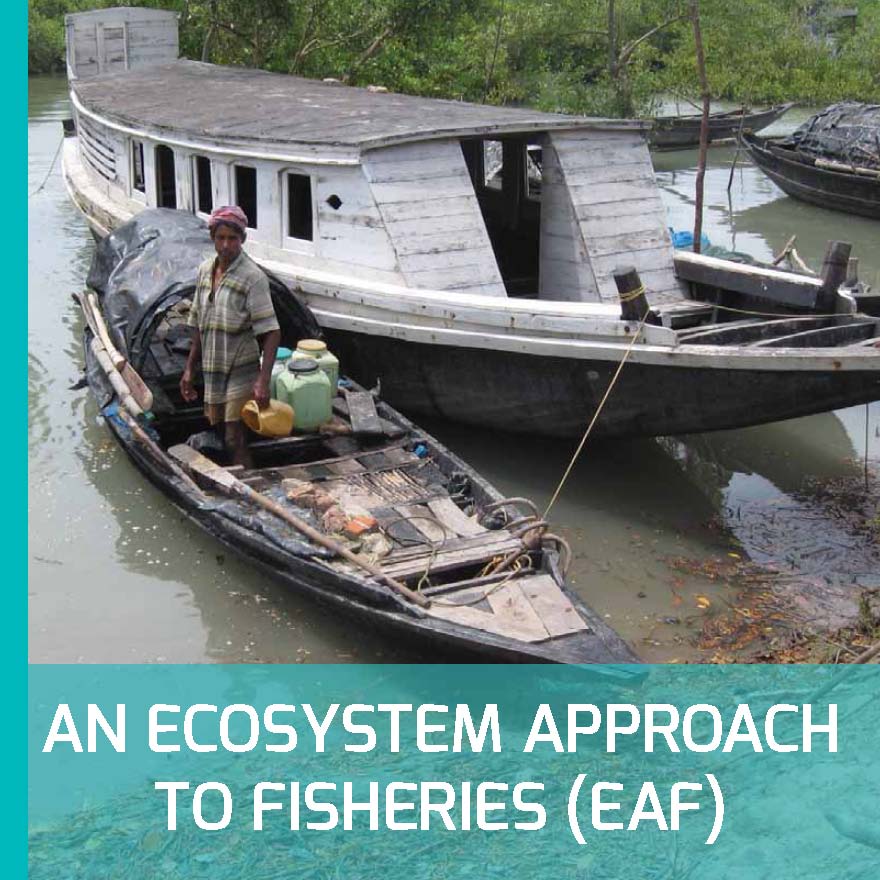 An Ecosystem Approach to Fisheries (EAF) – BOBMLE – ICSF Brochure in six languages (English, Bangla, Thai, Tamil, Burmese, and Bahasa)