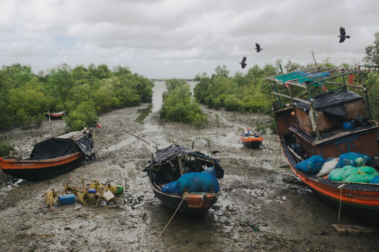 west-bengal-treading-on-troubled-waters-exploring-livelihood